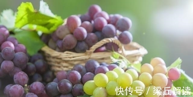 石榴|女人常吃以下3种水果，能有效的抗衰老，早知早受益