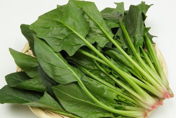 胡萝卜|护眼只知道吃胡萝卜5种食物对眼睛也很好,你竟然还不知道