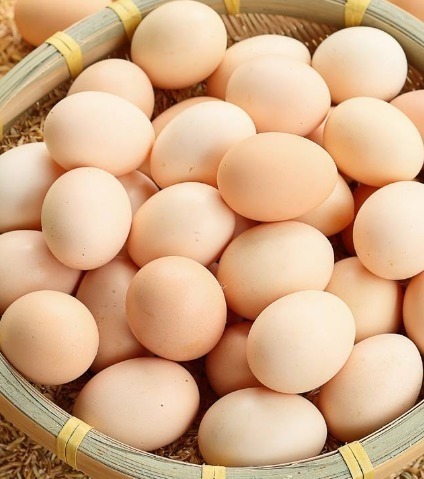 好处|常吃鸡蛋,好处多多,但切莫与一物同食,为了健康要早点了解