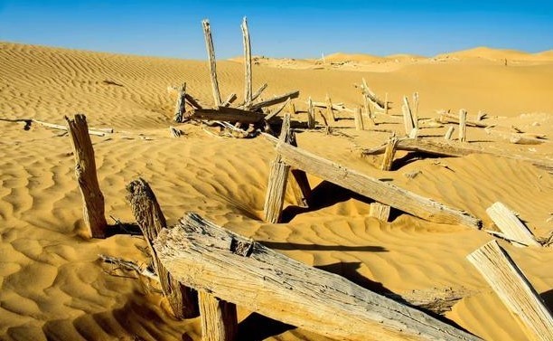 建国后,有考古工作者因墓中的机关而致死致伤的吗?