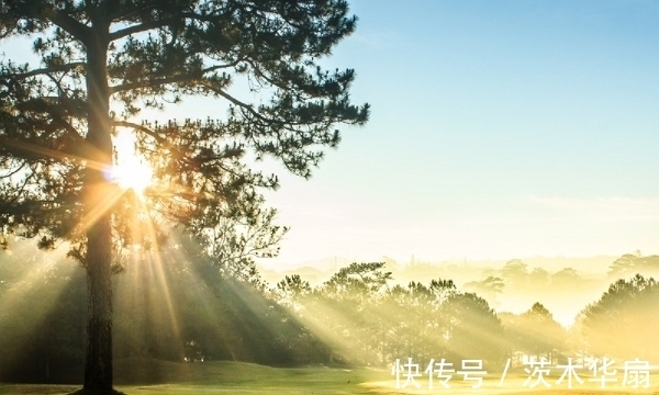 生肖|3天后，运势爆棚，财运旺上加旺，事业如火如荼，生活富贵多金