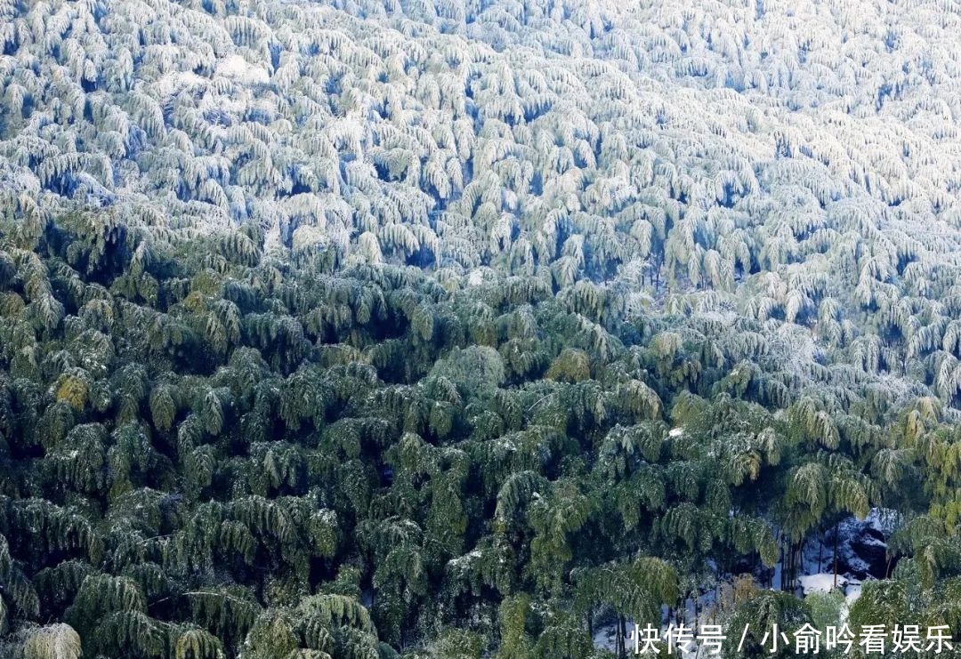 雪景|遂昌大美雪景图！让你一次看个够