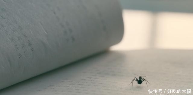 坦诚|《致女儿书》:我坦诚自己的过往,希望提醒你的人生