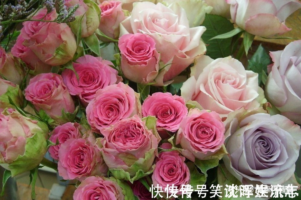 愚孝|最“愚孝”的三个生肖男,对父母言听计从,从不考虑妻子的感受