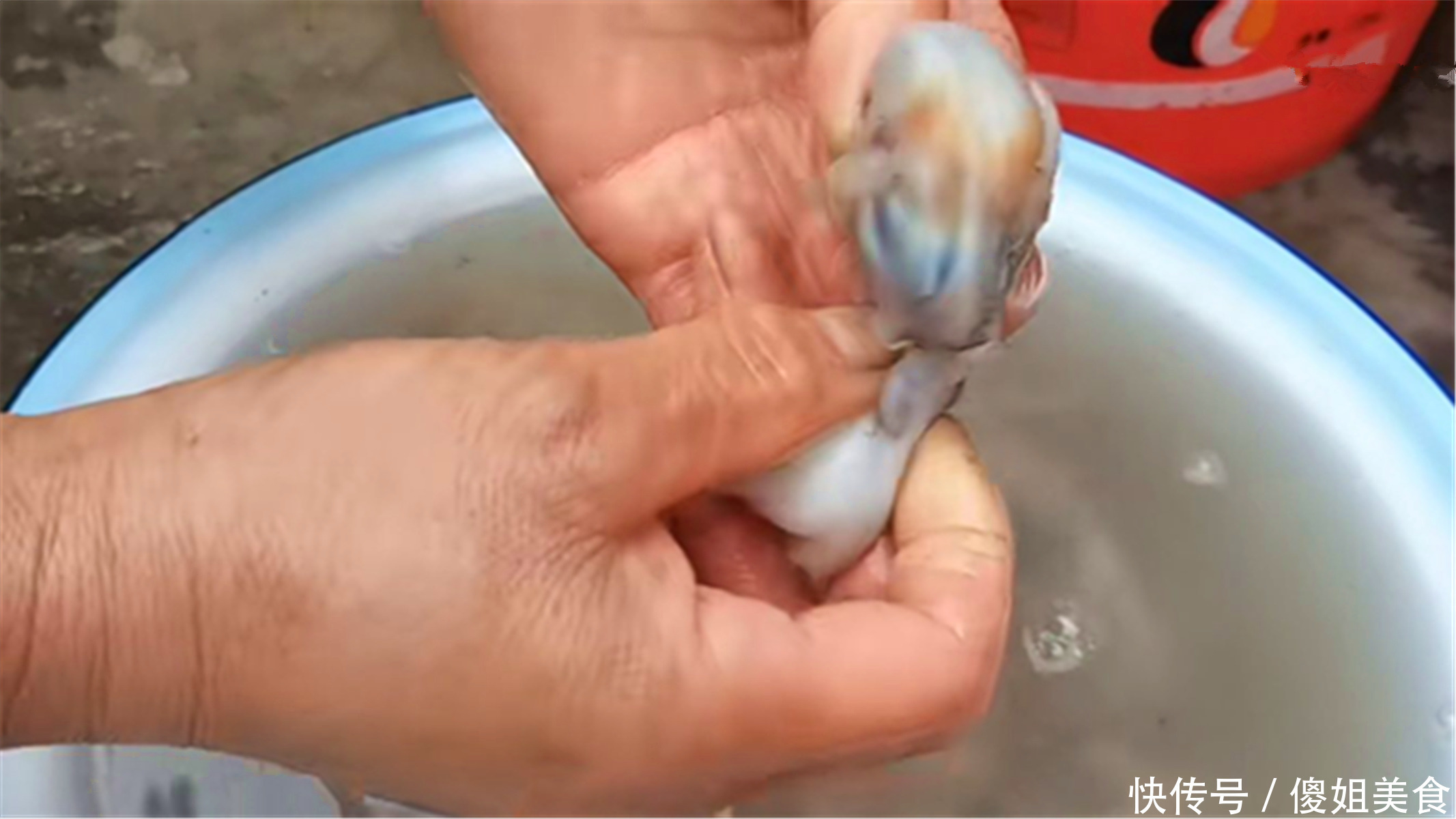清脆|“八爪鱼”一煮就老,很多人错了,海边人教你正确做法,清脆鲜嫩