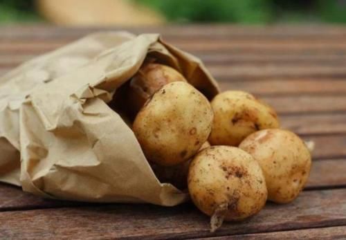 去进行食用|土豆发芽了没办法吃,但是却有大用处,别傻傻扔掉了