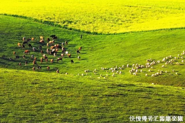 未来30天，既赏心悦目又能避暑纳凉的地方，错过就等一年