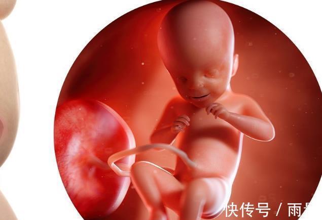 宝宝|孕4个月,孕妈饮食要遵循“四要二不要”原则,胎儿越长越健康!