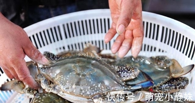 蒸螃蟹时,直接上锅蒸就废了!多加这1步,蟹肉鲜嫩入味不流黄