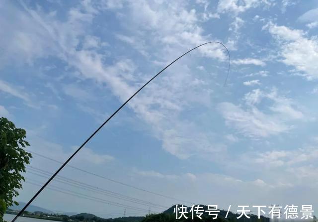 烧钱|钓什么样的鱼，用什么样的鱼竿！许多人颠倒了，难怪烧钱
