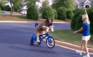 |搞笑GIF:大半夜的,你们要不要这么嗨啊