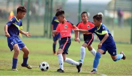 身高|“平均身高”最低的省份,女性一米五很正常,遍地是可爱妹子