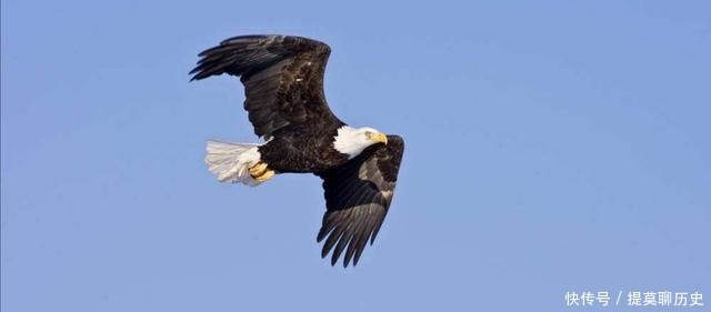 归去来兮|“红军队里每相违”中“每相违”应出自陶渊明的《归去来兮辞》