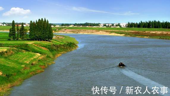 湖北一男子野钓遇上鳜鱼窝,新手在此也能连杆,网友:请假去钓鱼