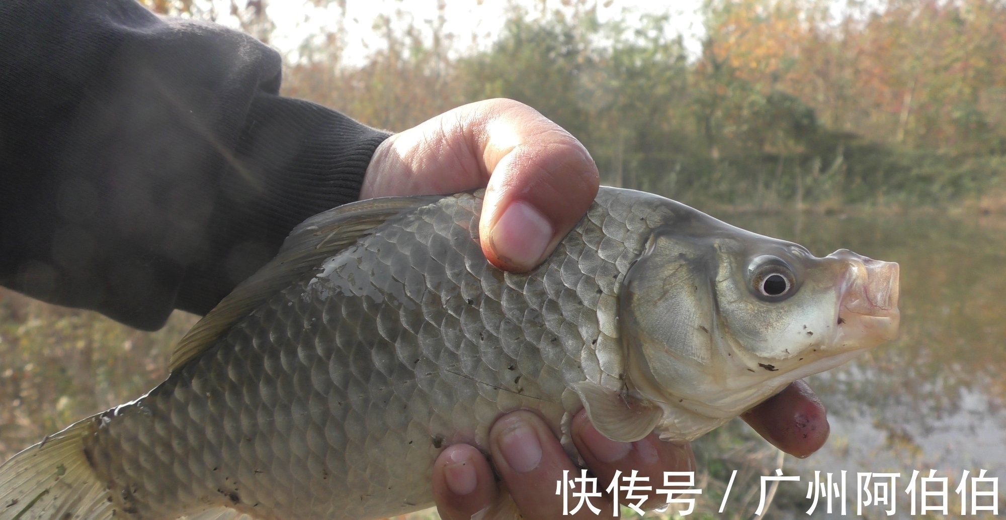 水域|天冷降温后鱼难钓，8个人钓鱼为什么只有我钓到了，原因是这些