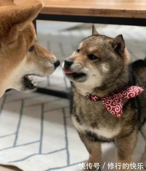 |开心一刻笑话 表弟开了个夜宵摊, 从暑假开始, 生意一落千丈