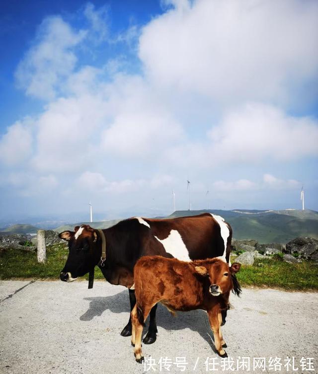 醉夕阳$「七绝·醉夕阳」知秋木叶遍山黄,宠辱偕忘醉夕阳