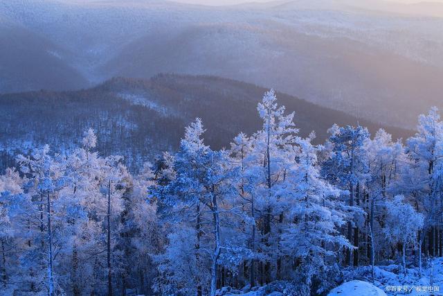 韦成柏$时逢小雪北风忽,旷野空山草萎枯。《小雪》诗词63首