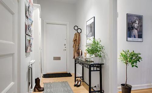 植物|家里这两处万万要摆上植物，相当于招财进门，难怪老师傅直夸聪明