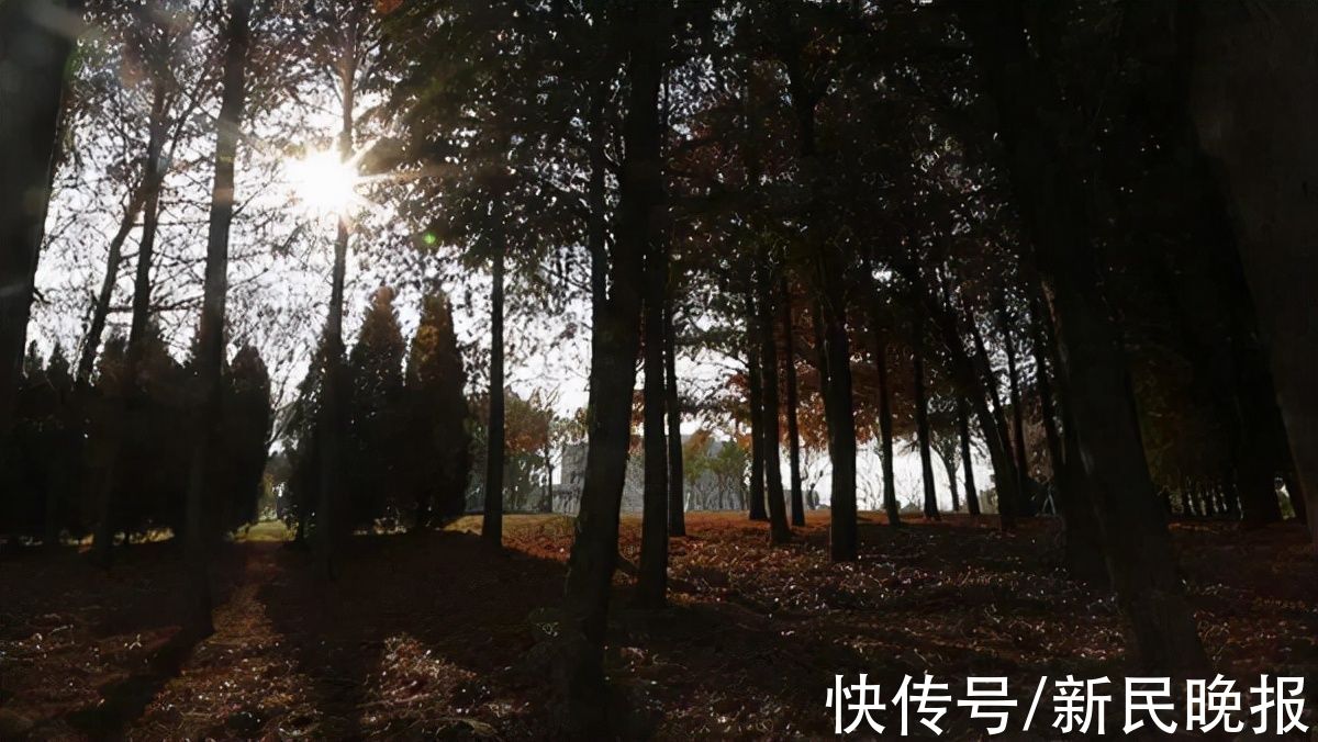 观日塔|登上“观日塔”，体验绚烂而有诗意的美景