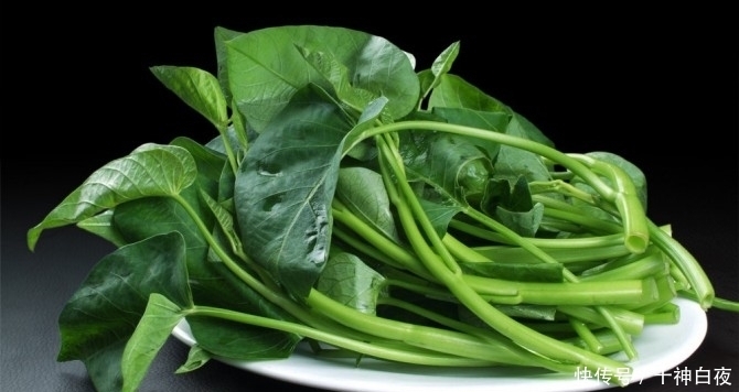 木质素|空心菜有什么作用呢?空心菜的3大作用你知道吗?你可能不知道