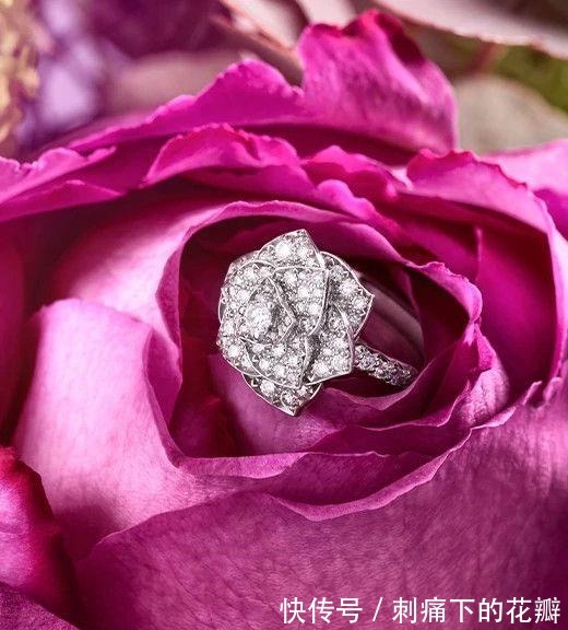 大熊猫 天然钻石珠宝设计——源于大自然的奇思妙想!