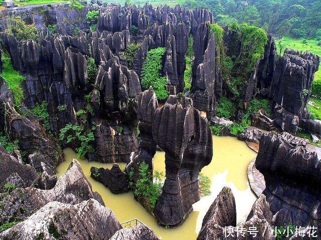 重庆九大经典旅游景点，你去过几个