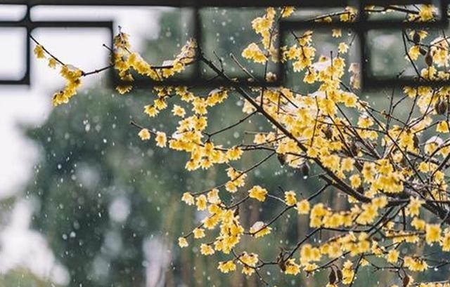 李后主|李后主背后的人生故事:问君能有几多愁?他的词放不下他这一生