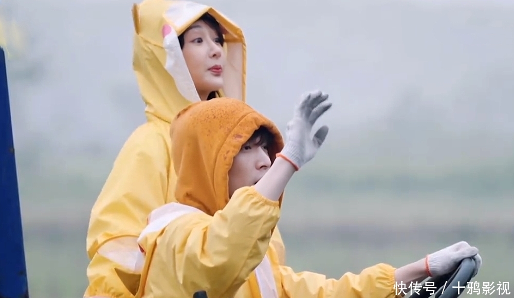 拖拉机 《向往》相亲既视感有 何炅彭昱畅是好助攻手 张艺兴杨紫有点好磕