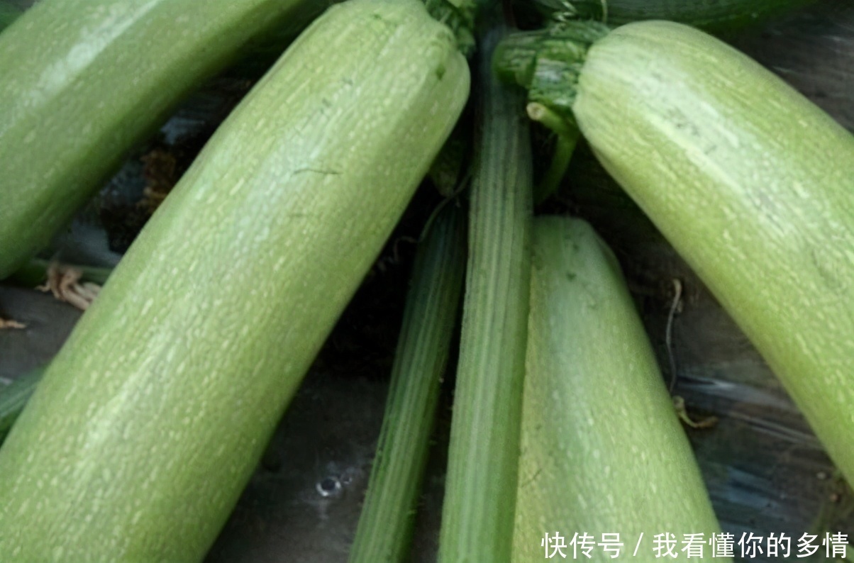 食物|人到中年想长寿,推荐吃3种食物,润肠通便,美容养生,滋补身体