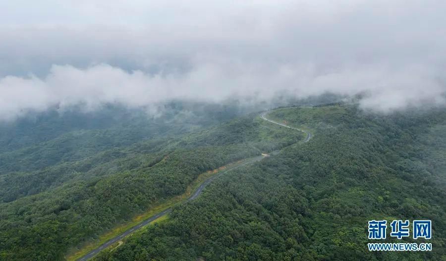 牛王寨|合肥第一高峰：从浮槎山到牛王寨