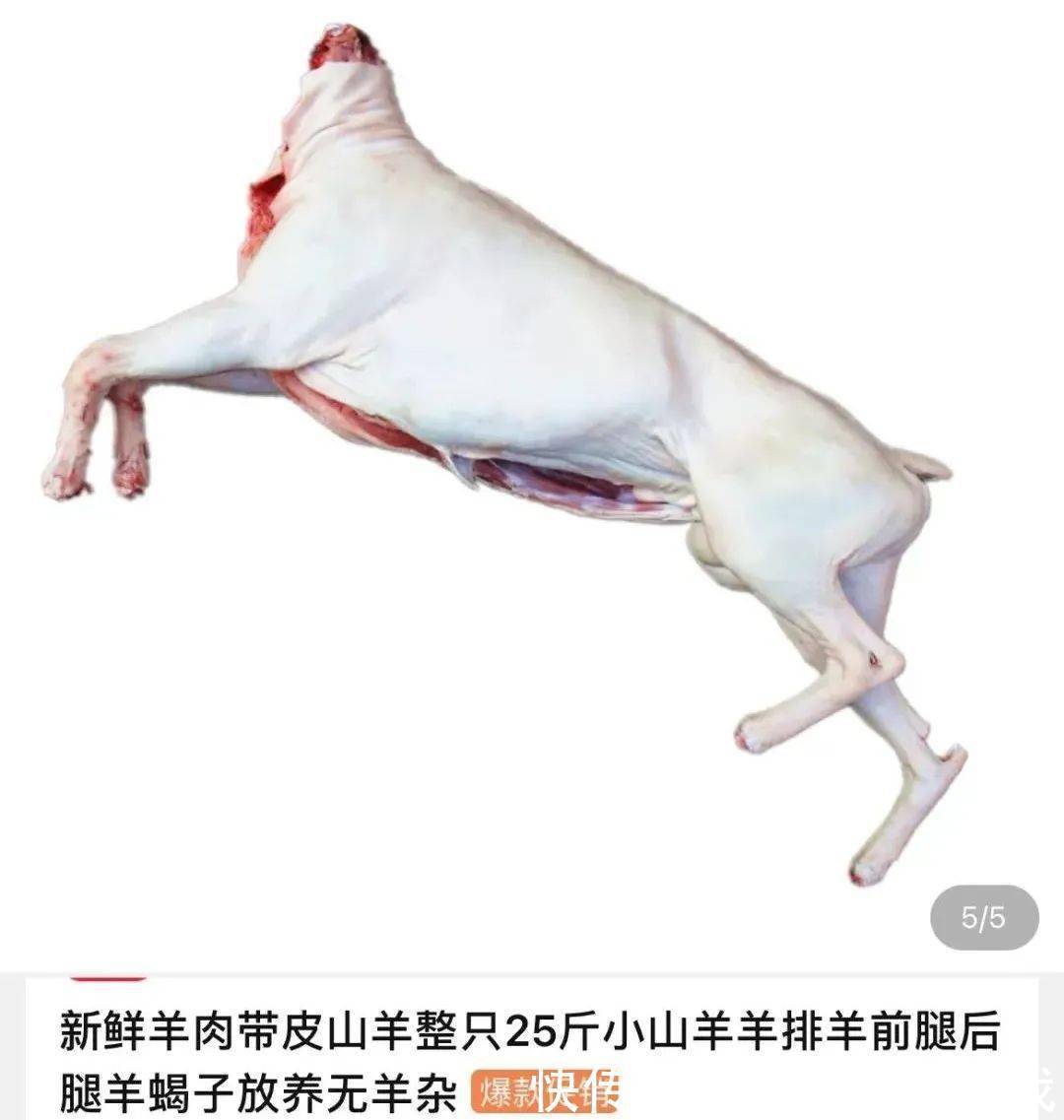 淘宝|这届淘宝怎么还是这么沙雕啊哈哈哈哈哈哈哈哈