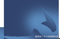 “声”韵雄安⑥丨美食雄安——舌尖上的白洋淀!