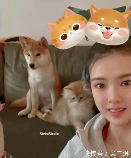 女排|女排名将张常宁晒照片:与吴冠希养宠物,享受家庭生活