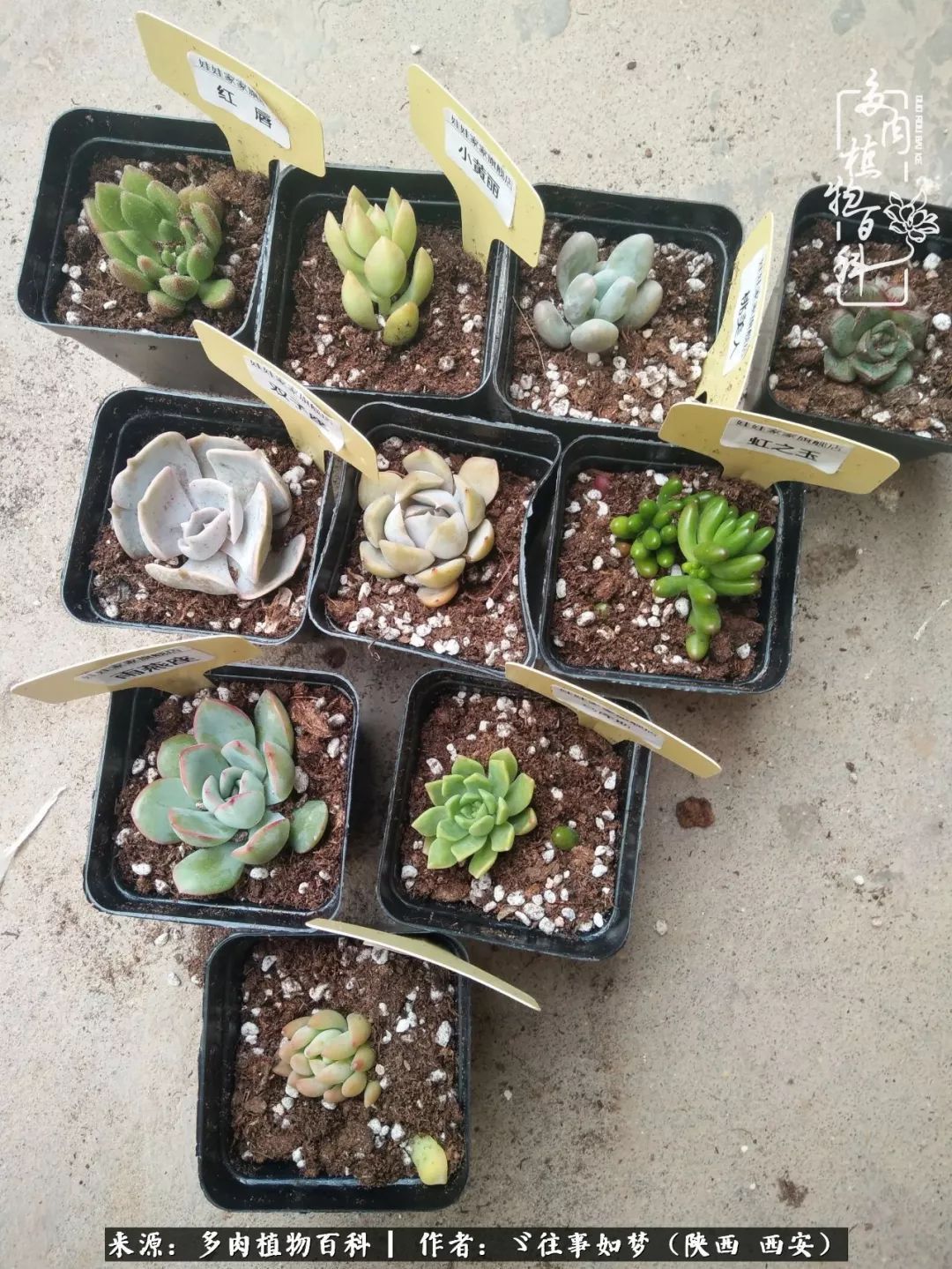 愿你付出甘之如饴,愿你所得归于欢喜!