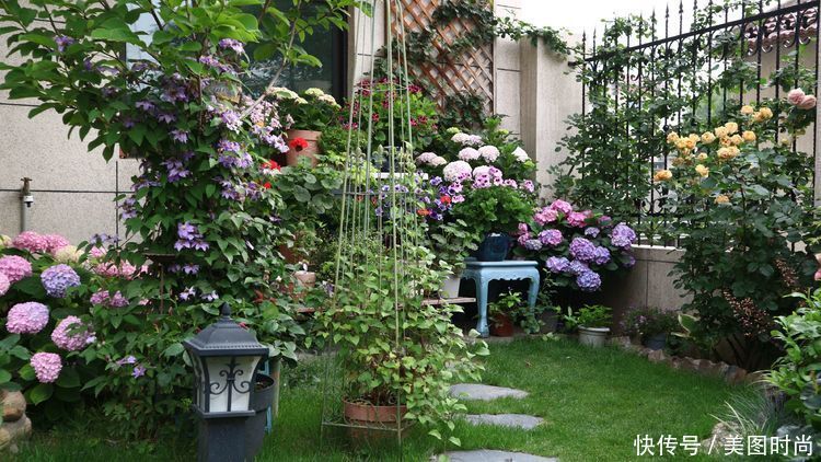 洋房|为了可以养花,我建了座小洋房,终于可以打造梦寐以求的花园了
