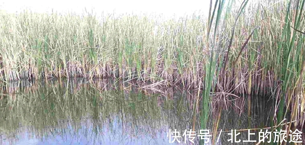 冬季钓鱼发窝慢,关键是方法要用对,快速发窝方法!