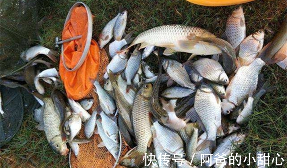 调漂方法大全:图解挂单饵调漂,状态不灵不钝,最适合野钓鲫鱼