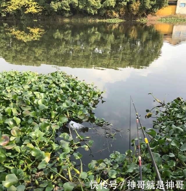 除害,村里小河湾,钓起四十多斤长江怪鱼,没人知道从何而来