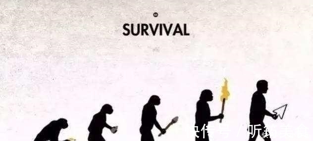 小鼠|天天举铁训练,肌肉还不大为何动物不运动肌肉发达程度远超人类