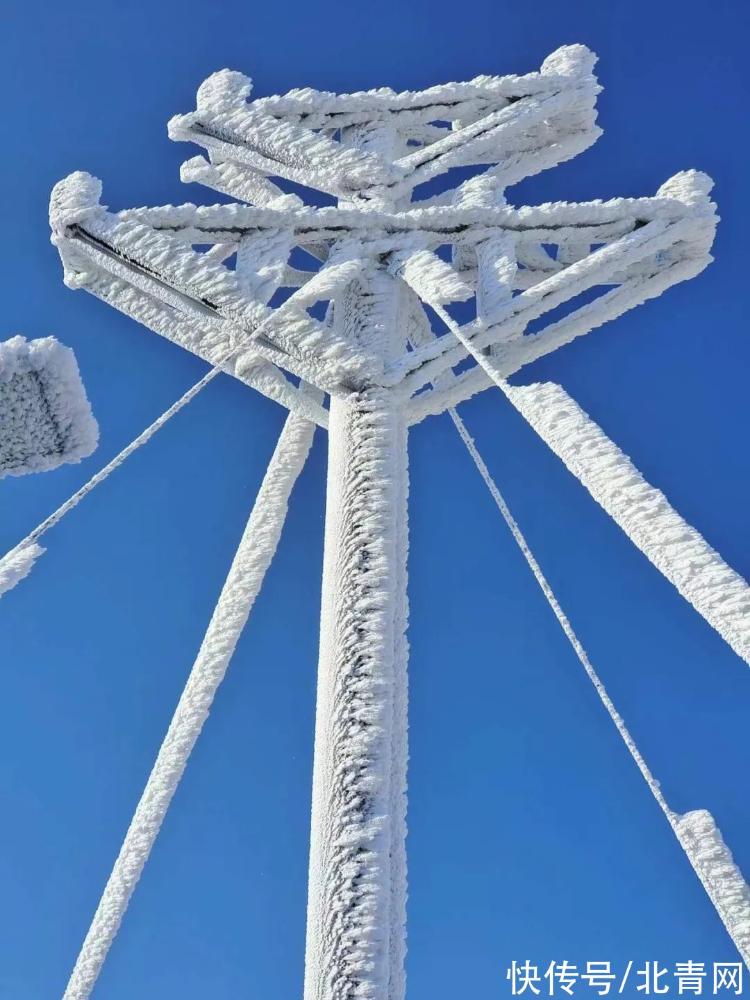 云海|太美了！台州最新雪景！括苍山跌至-10℃，再现云海奇观