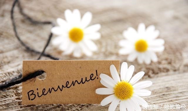 上善若水|人生路上,悟透这五大智慧,你会越活越好