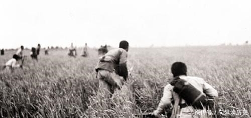 历史|抗战时八路军打鬼子历史照，向日军反冲锋，被打死的日军躺在地上