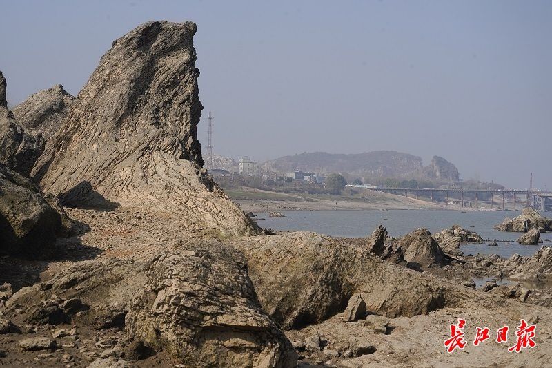 露出水面|水落“石”出 ，壮观美景藏不住