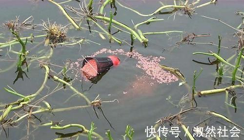 冬季钓鱼的诱鱼之道,用这几种方法,能把远处的鱼群“请”进窝