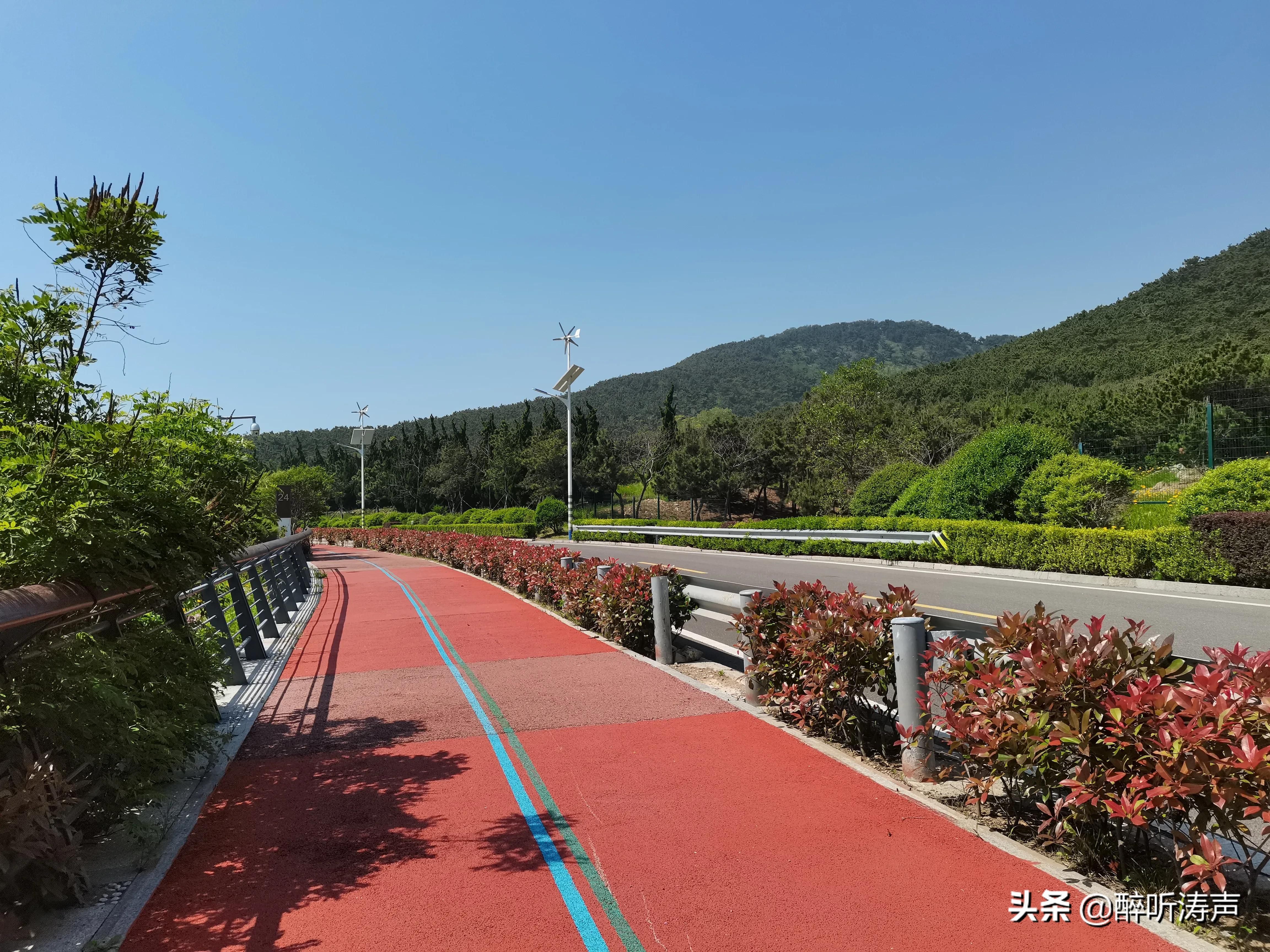 难以形容|天蓝海蓝花海一片片，难以形容的东环岛路之美