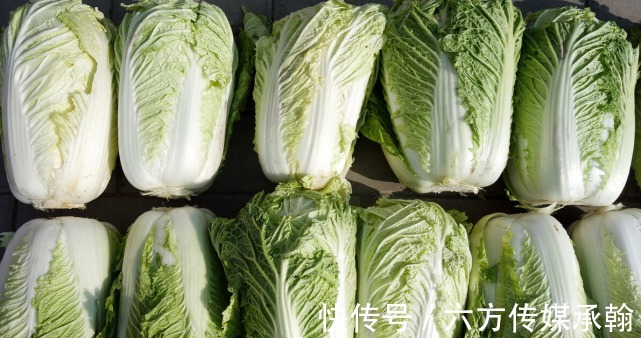 骨密度|1种零食堪称骨骼“养护剂”,骨密度低的人不妨多吃,或能提高