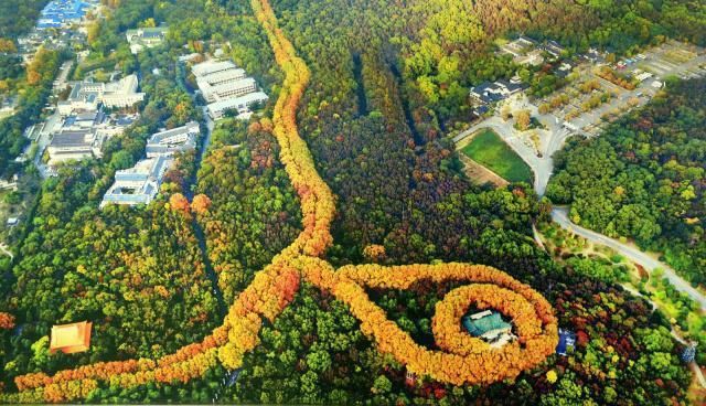 中年|南京旅游不能错过的景点，金陵四大名胜之一，不是夫子庙和中山陵