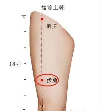 按摩|自己敲打大腿，就能治疗腰椎间盘突出、腰痛腿疼、腰肌劳损