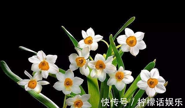 小寒#三首宋诗,三候小寒花信风,三个不同的启示。